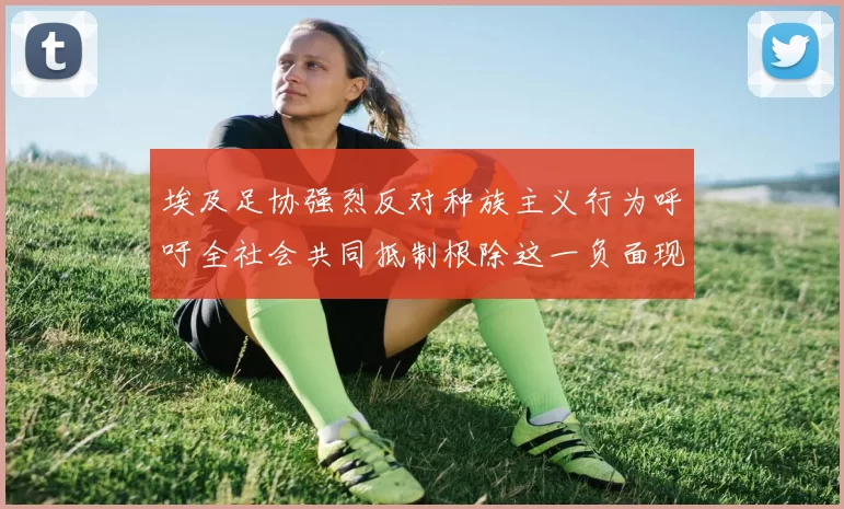 埃及足协强烈反对种族主义行为呼吁全社会共同抵制根除这一负面现象
